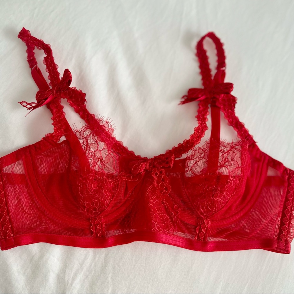 Agent Provocateur Scarlet Lace Bra